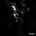 Quiet Noise 