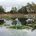 water on the heath